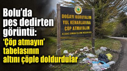 Bolu'da pes dedirten görüntü: ‘Çöp atmayın' tabelasının altını çöple doldurdular