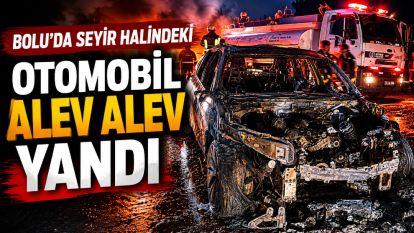 Bolu'da seyir halindeki otomobil alev alev yandı