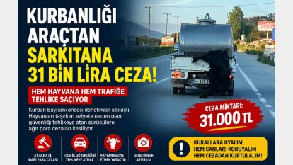Kurbanlığı araçtan sarkıtan sürücüye 31 bin lira ceza