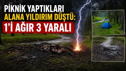 Piknik yaptıkları alana yıldırım düştü: 1'i ağır 3 yaralı