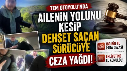 TEM Otoyolu'nda ailenin yolunu kesip dehşet saçan sürücüye ceza yağdı: 180 bin TL ceza ve ehliyetine el konuldu