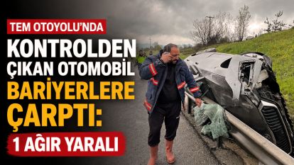 TEM Otoyolu'nda kontrolden çıkan otomobil bariyerlere çarptı: 1 ağır yaralı