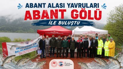 ABANT ALASI YAVRULARI ABANT GÖLÜ İLE BULUŞTU