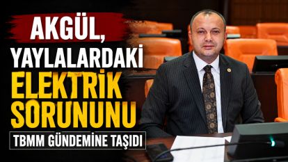 Akgül, Yaylalardaki Elektrik Sorununu TBMM Gündemine Taşıdı