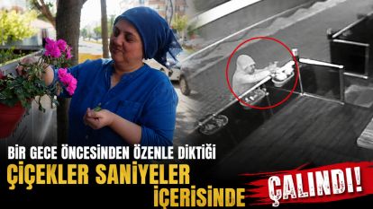 Bir gece öncesinden özenle diktiği çiçekler saniyeler içerisinde çalındı