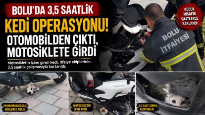 Bolu'da 3,5 Saatlik Kedi Operasyonu! Otomobilden Çıktı, Motosiklete Girdi
