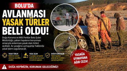 Bolu'da avlanması yasak türler belli oldu
