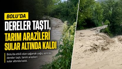 Bolu'da dereler taştı, tarım arazileri sular altında kaldı
