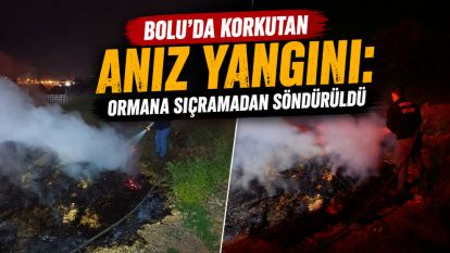 Bolu'da korkutan anız yangını: Ormana sıçramadan söndürüldü