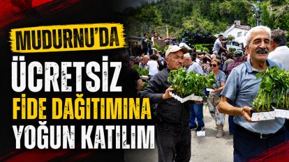 Bolu'da ücretsiz fide dağıtımına yoğun katılım