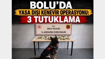 Bolu'da Yasa Dışı Kenevir Operasyonu: 3 Tutuklama