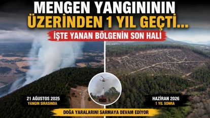 MENGEN YANGINININ ÜZERİNDEN 1 YIL GEÇTİ... İŞTE YANAN BÖLGENİN SON HALİ