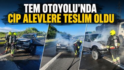 TEM Otoyolu'nda cip alevlere teslim oldu