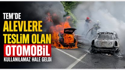 TEM'de alevlere teslim olan otomobil kullanılamaz hale geldi