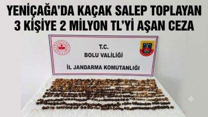 Yeniçağa'da Kaçak Salep Toplayan 3 Kişiye 2 Milyon TL'yi Aşan Ceza