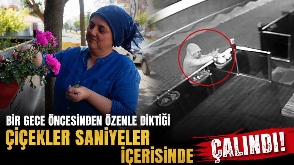 Bir gece öncesinden özenle diktiği çiçekler saniyeler içerisinde çalındı