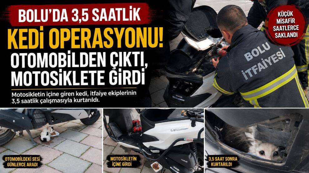 Bolu'da 3,5 Saatlik Kedi Operasyonu! Otomobilden Çıktı, Motosiklete Girdi