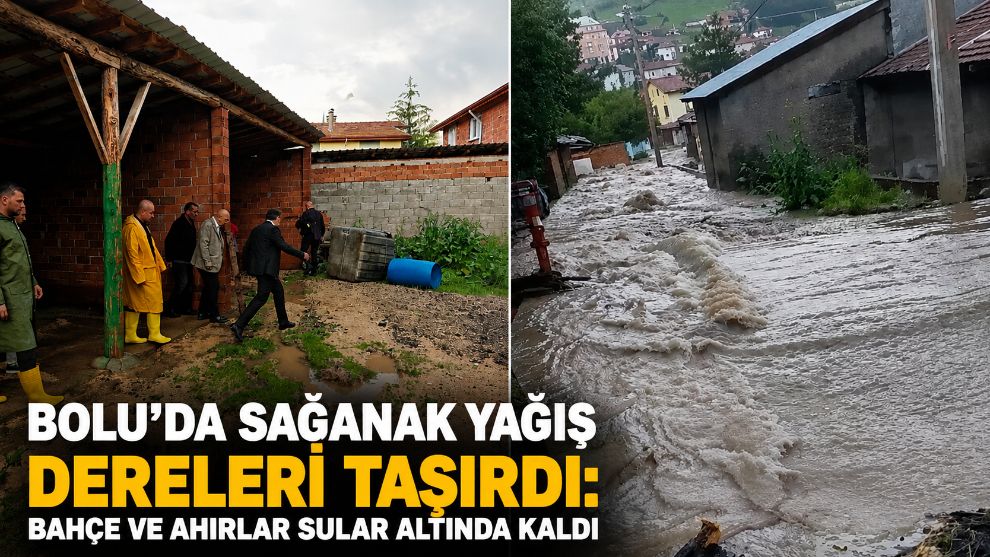 Bolu'da sağanak yağış dereleri taşırdı: Bahçe ve ahırlar sular altında kaldı