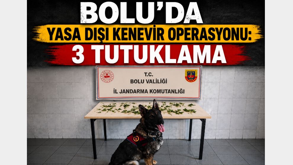 Bolu'da Yasa Dışı Kenevir Operasyonu: 3 Tutuklama