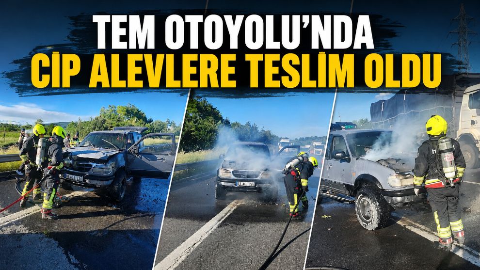 TEM Otoyolu'nda cip alevlere teslim oldu