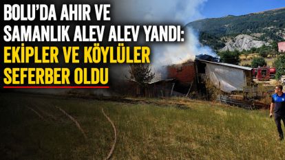 Bolu'da ahır ve samanlık alev alev yandı: Ekipler ve köylüler seferber oldu