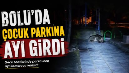Bolu'da çocuk parkına ayı girdi