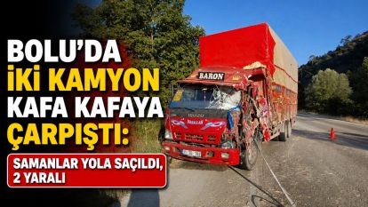 Bolu'da iki kamyon kafa kafaya çarpıştı: Samanlar yola saçıldı, 2 yaralı