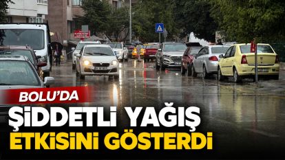 Bolu'da sağanak yağış etkisini gösterdi