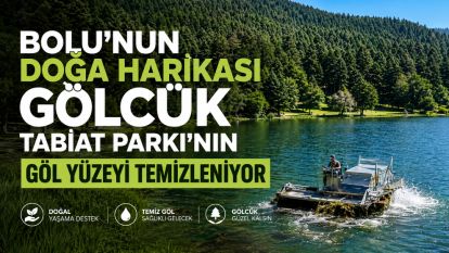 Bolu'nun doğa harikası Gölcük Tabiat Parkı'nın göl yüzeyi temizleniyor