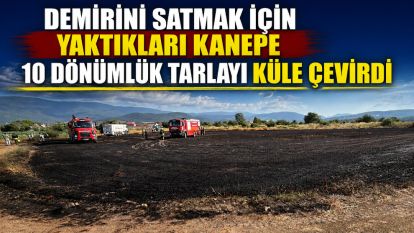 Demirini satmak için yaktıkları kanepe, 10 dönümlük tarlayı küle çevirdi