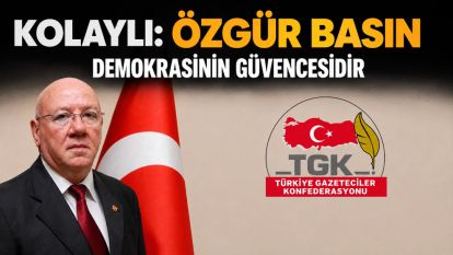 Kolaylı: Özgür basın demokrasinin güvencesidir