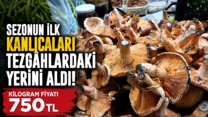 Sezonun İlk Kanlıcaları Tezgâhlardaki Yerini Aldı! Kilogram Fiyatı 750 TL