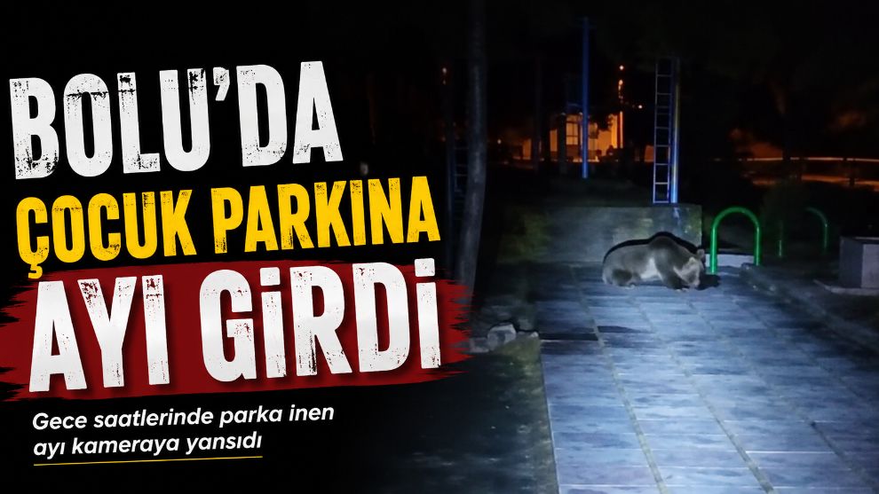 Bolu'da çocuk parkına ayı girdi