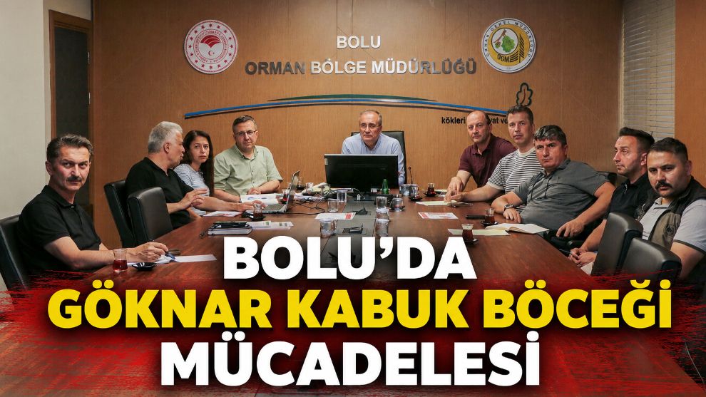 Bolu'da  göknar kabuk böceği mücadelesi