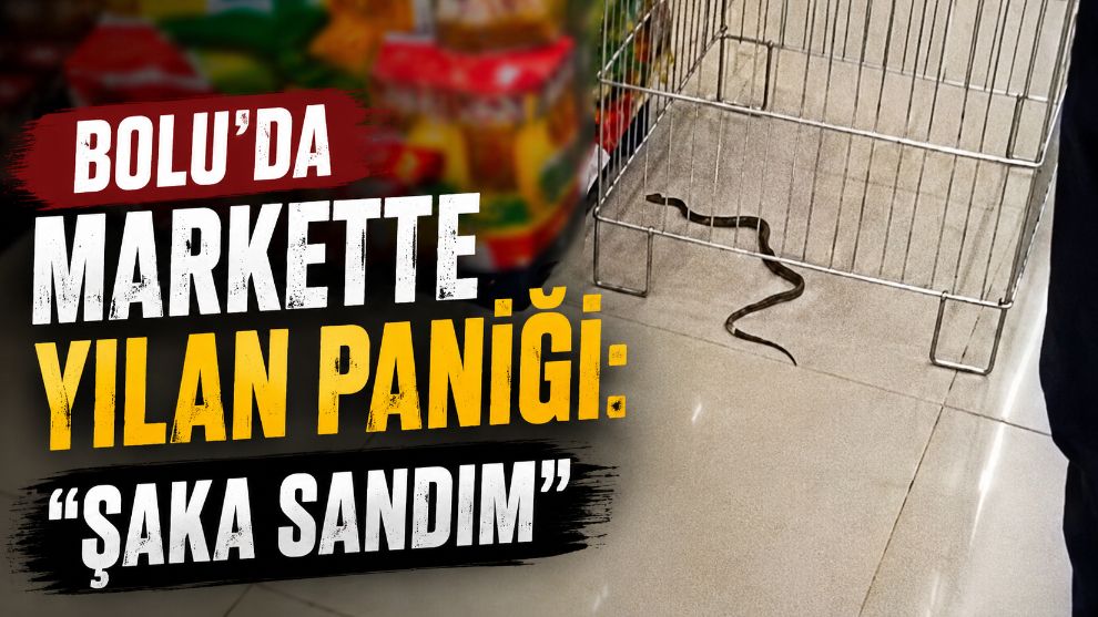 Bolu'da markette yılan paniği: "Şaka sandım"